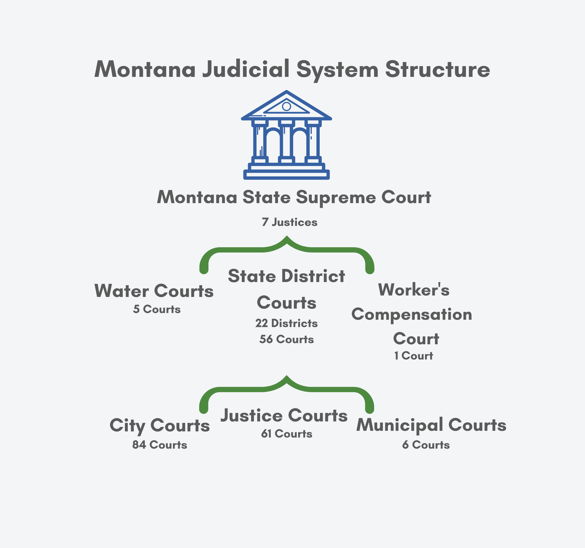 Chart explaining MT court structure