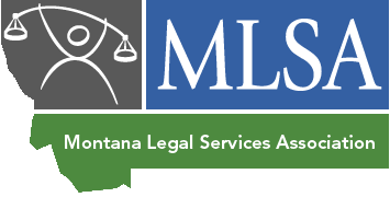 MLSA logo transparent FINAL